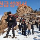 고목 - 창원시 성산구 | 고목