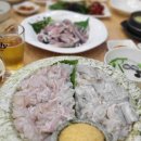 바다세꼬시 회.초밥 이미지