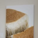 화이트리에(WHITELIER)