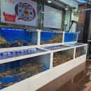 동해안 | [속초] 속초 동해안 대게찜 내돈내산 후기