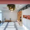 서산시동물보호센터 이미지