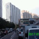 대림아파트 앞 둔치 이미지