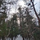 한라산둘레길 수악길 이미지