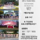 동아대 강한 태권도 이미지