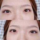 하비래쉬