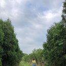 남매목장 이미지