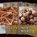 아이엠지 이미지