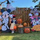 베이스테이 이미지