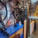 명성참치 이미지