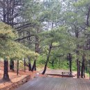 칠포농장 이미지