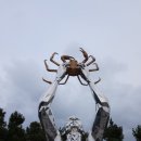 창수메밀영농조합법인 이미지