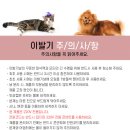 (주)원메디코 이미지