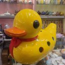 재롱이네 이미지