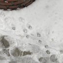 황금노가리I | 궤도를 이탈해 새로운 우주로 떠날 때이다