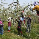 웅양면-31 이미지