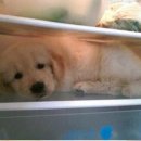 허숙희네 이미지