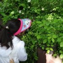 영성어린이집 이미지