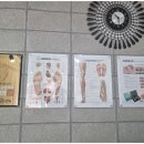 루씨드네일샵