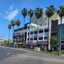 동백중앙약국 이미지