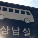 중간상사리 이미지