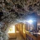 지에스(GS)25 경북대북문점 | 경대 북문 술집 청춘사업 / 가성비좋은 프라이빗 룸술집 (+데이트 추천!)