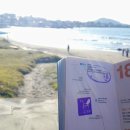 삼양전력태양광발전소 이미지