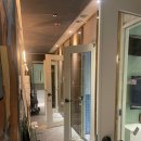 악쓰는하마코인노래연습장 이미지