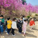 부천 진달래 축제에 다녀온 퐁피두창의스쿨 어린이집 친구들! 🌸✨