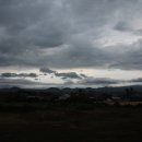 한국화 교실 이미지