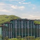 소노문 비발디파크 이미지