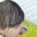 비발디 향기나무 | 핀덴베베 전집 후기 핫딜 가격(할인 꿀팁) 영아다중, 베베랑마마랑 비교