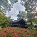 달마스테이 | 8월에는 템플스테이를 다녀올 계획이다