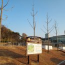 효천하수처리장 축구장 이미지