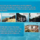 지민박 이미지