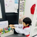 BOK 태권도 이미지