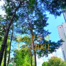 지에스(GS)25상동진달래 이미지