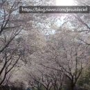 다도면사무소 이미지