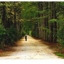 에코라인 이미지