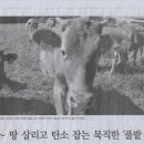 대안농장 이미지
