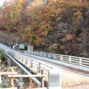 지리산 단풍비 이미지