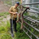 행복한사슴농장 이미지