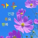 R. 슈만_ 피아노 소나타 제1번 F-샤프 단조 中 1악장 이미지