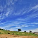 월산목장 이미지