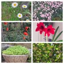 장태산 힐링타임 이미지