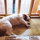 무창포 히든빌리지 이미지