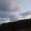 오름라이팅