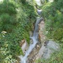 안산식물원 이미지