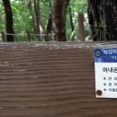 머내과학 공원 티스토리