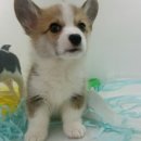 바우스토리 이미지