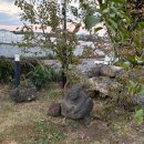 스테이빌레하임 | [제주] 제주도 서귀포 가성비 독채 숙소 “스테이빌레하임” 후기 및 추천✨